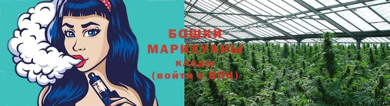 Марихуана Ganja  Болхов 